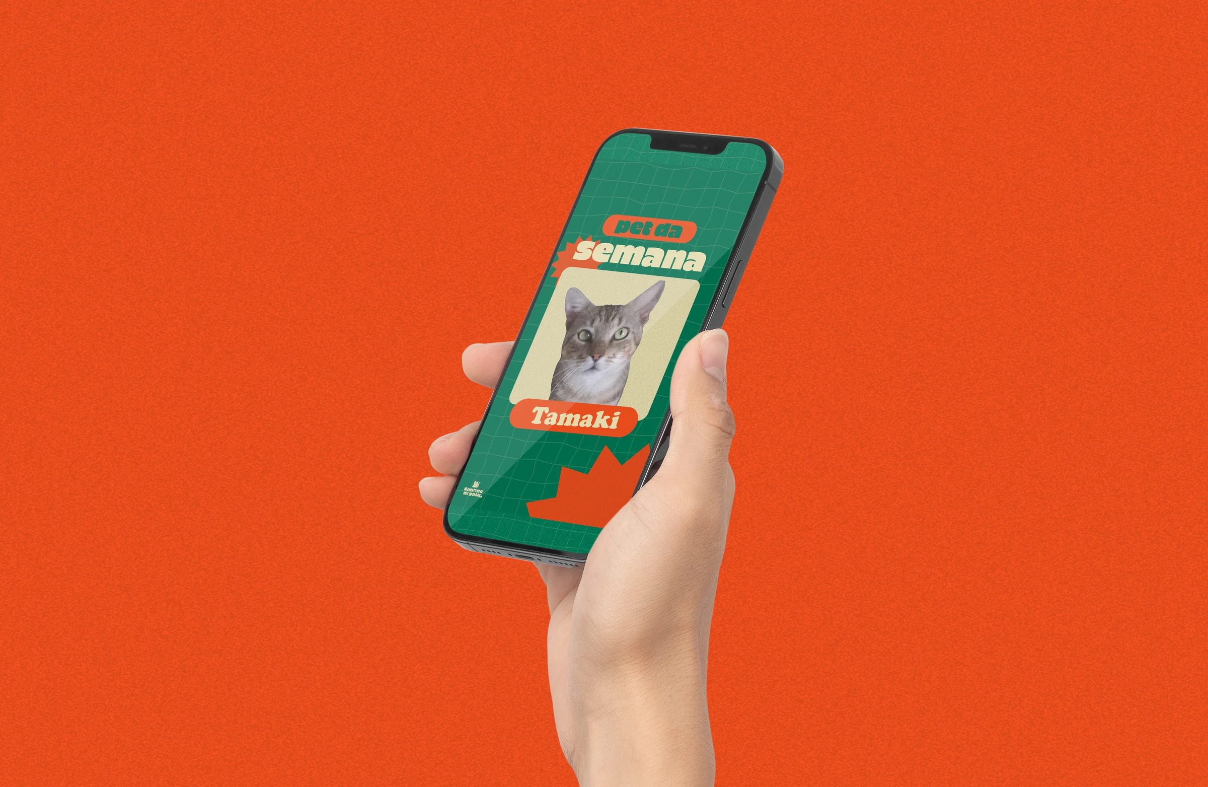 Aplicação da identidade Simone di Gatu em celular