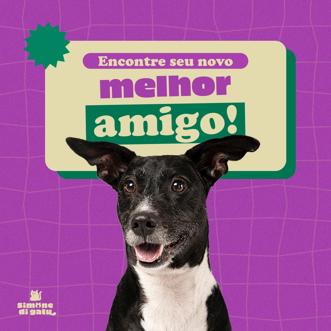 Publicação de evento de adoção da Simone di Gatu