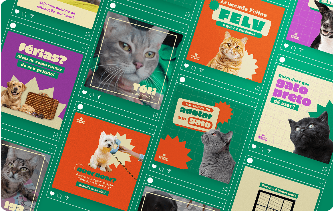 Imagem de destaque do projeto