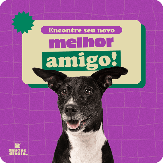 Post para evento de adoção